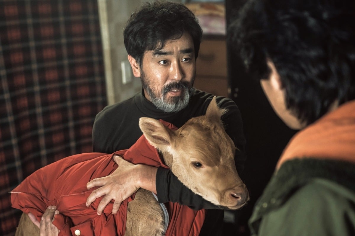 영화 '정가네'의 한 장면. / 사진제공=롯데엔터테인먼트