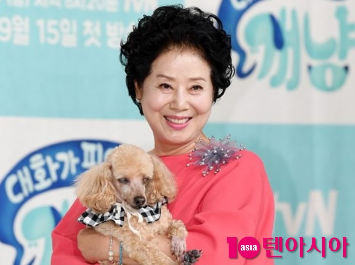배우 선우용여(80)가 뇌경색 투병 이후 10년째 재활을 이어가고 있는 근황을 전했다./사진=텐아시아DB