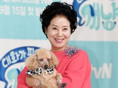 '80세' 선우용여, 뇌경색 후 10년째 재활 중이었다…유명 방송 작가, 매니저 자처 ('전참시')[종합]