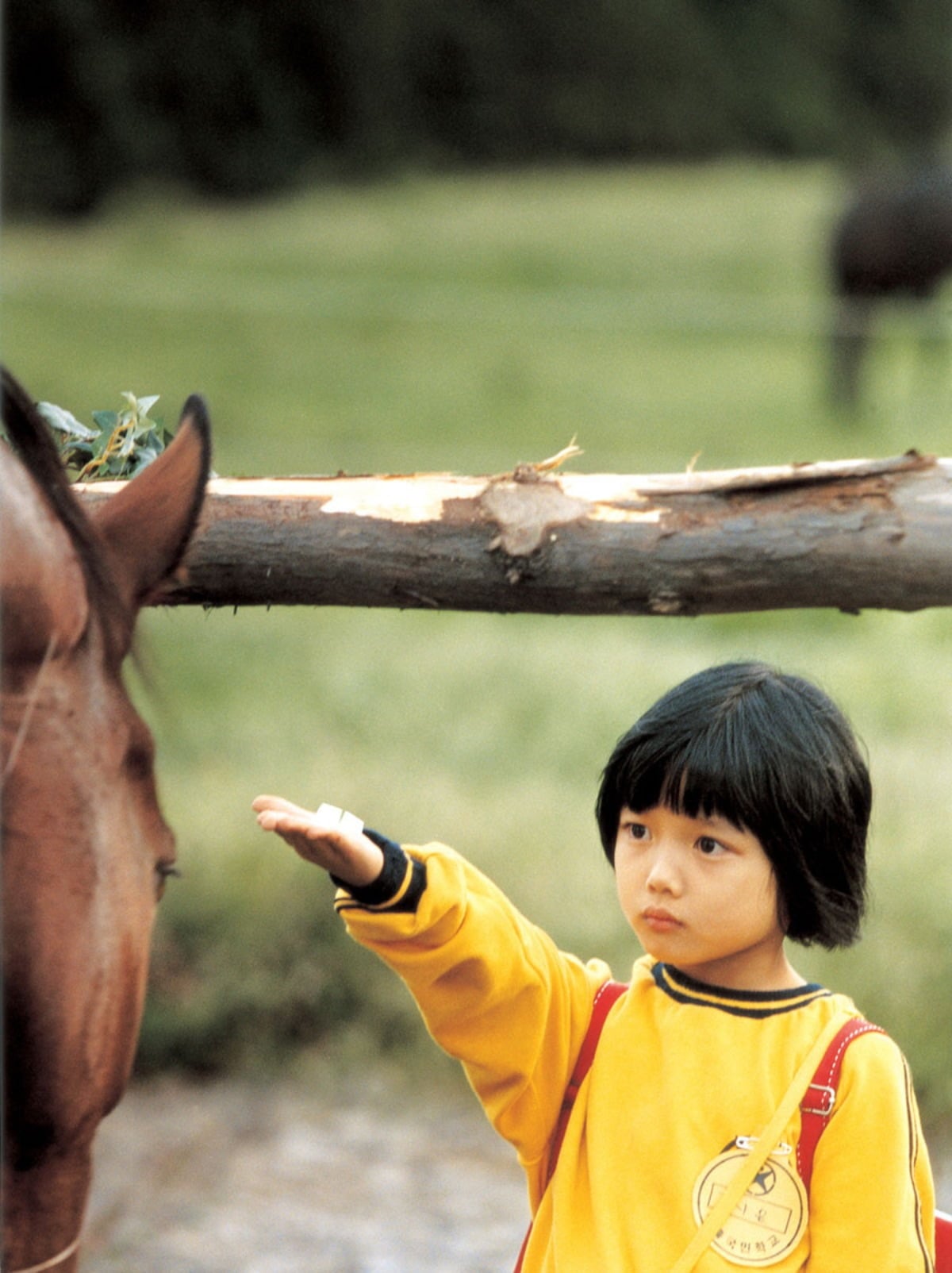 영화 '각설탕'에서 김유정의 모습. / 사진제공=영화 '각설탕'