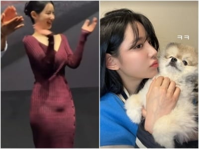 '민망 의상 논란' 베리굿 조현, 타격 없었다…"ㅋㅋ" 반려견 품에 안은 평온한 일상 공유