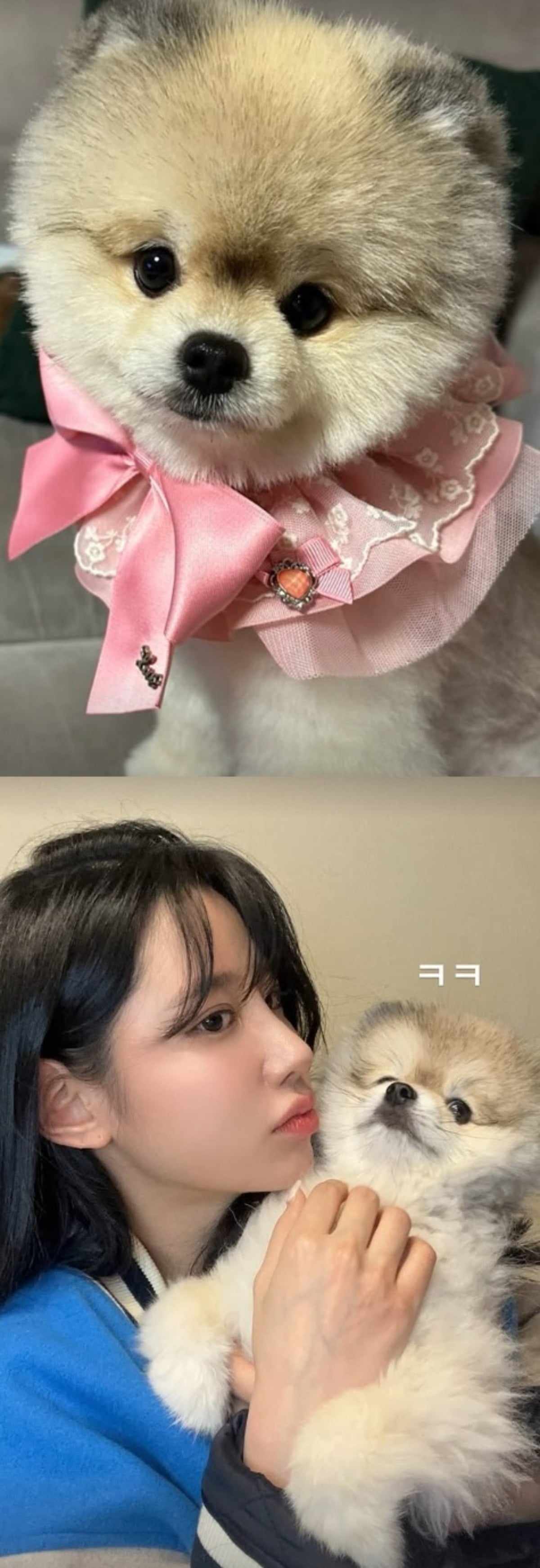 베리굿 조현으로 활동했던 배우 신지원이 시사회 의상으로 화제를 모은 뒤 별다른 입장 없이 평온한 근황을 전했다./사진=sns 갈무리, 베리굿 조현 SNS