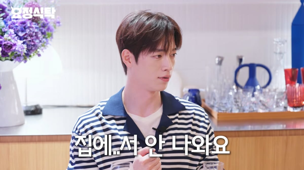 사진=유튜브 '요정재형'