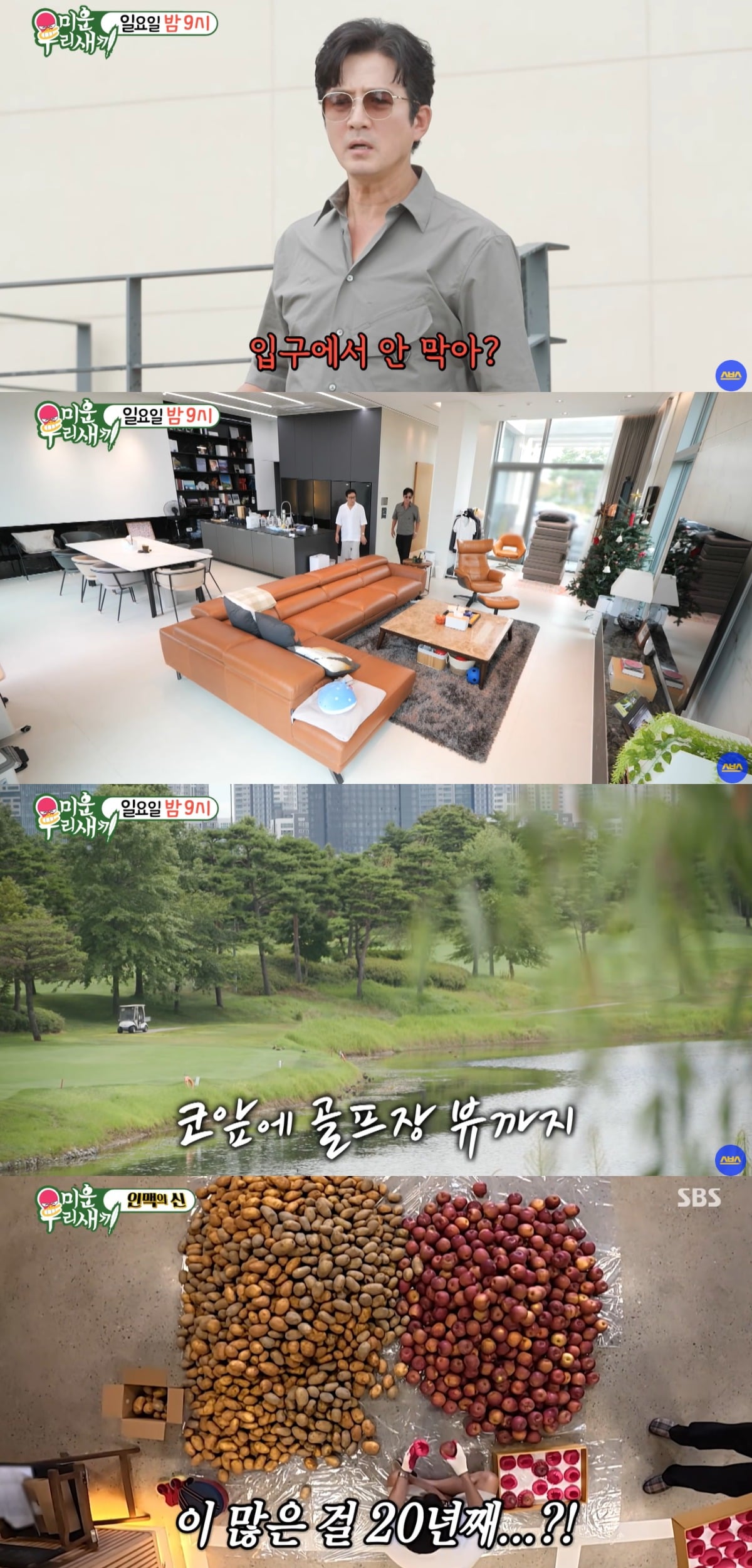 정준호가 세컨하우스인 단독주택을 공개했다. / 사진='미운우리새끼' 방송 화면 캡처