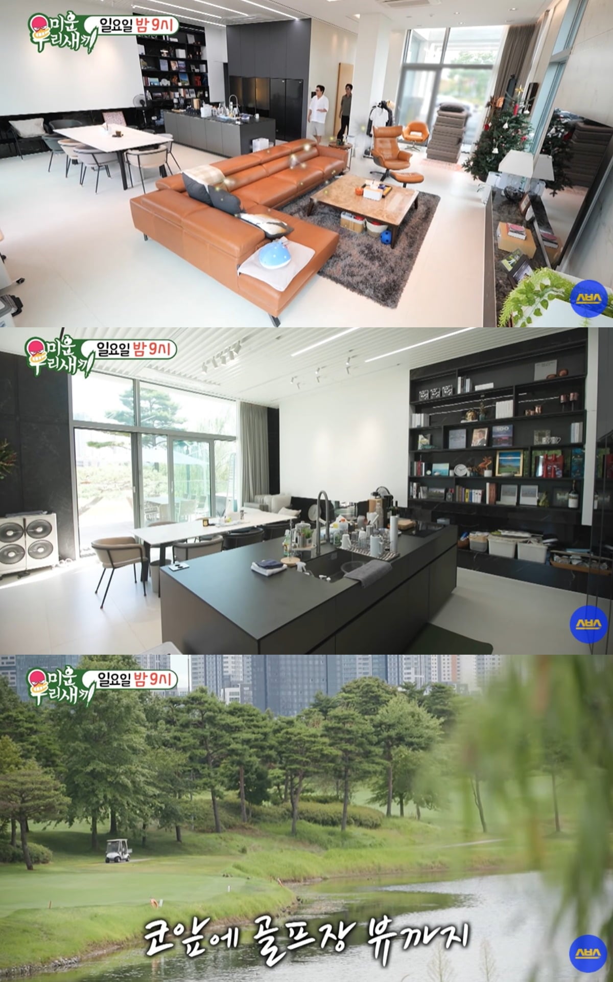 정준호·이하정 부부의 단독주택이 공개됐다. / 사진='미운 우리 새끼' 방송 화면 캡처