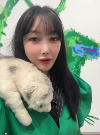 '만취 운전' 낸시랭, 바닷가서 두 반려견 풀어놓고…"하나님 감사합니다"