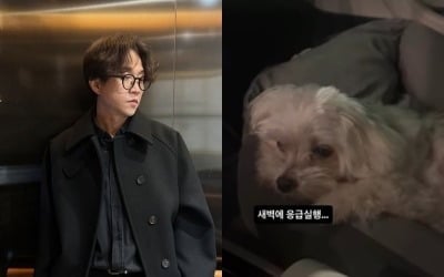 '이솔이♥' 박성광 "새벽에 응급실행"…심장병 악화 반려견에 먹먹