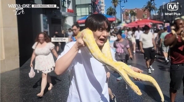 워너원이 약 9년 만에 선보인 리얼리티를 마무리했다./사진제공=CJ ENM