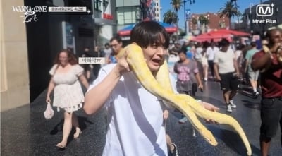 워너원, 10주년 앞두고 유종의 미 거뒀다…"형언할 수 없는 감정, 다시 보자" ('워너원고')[종합]