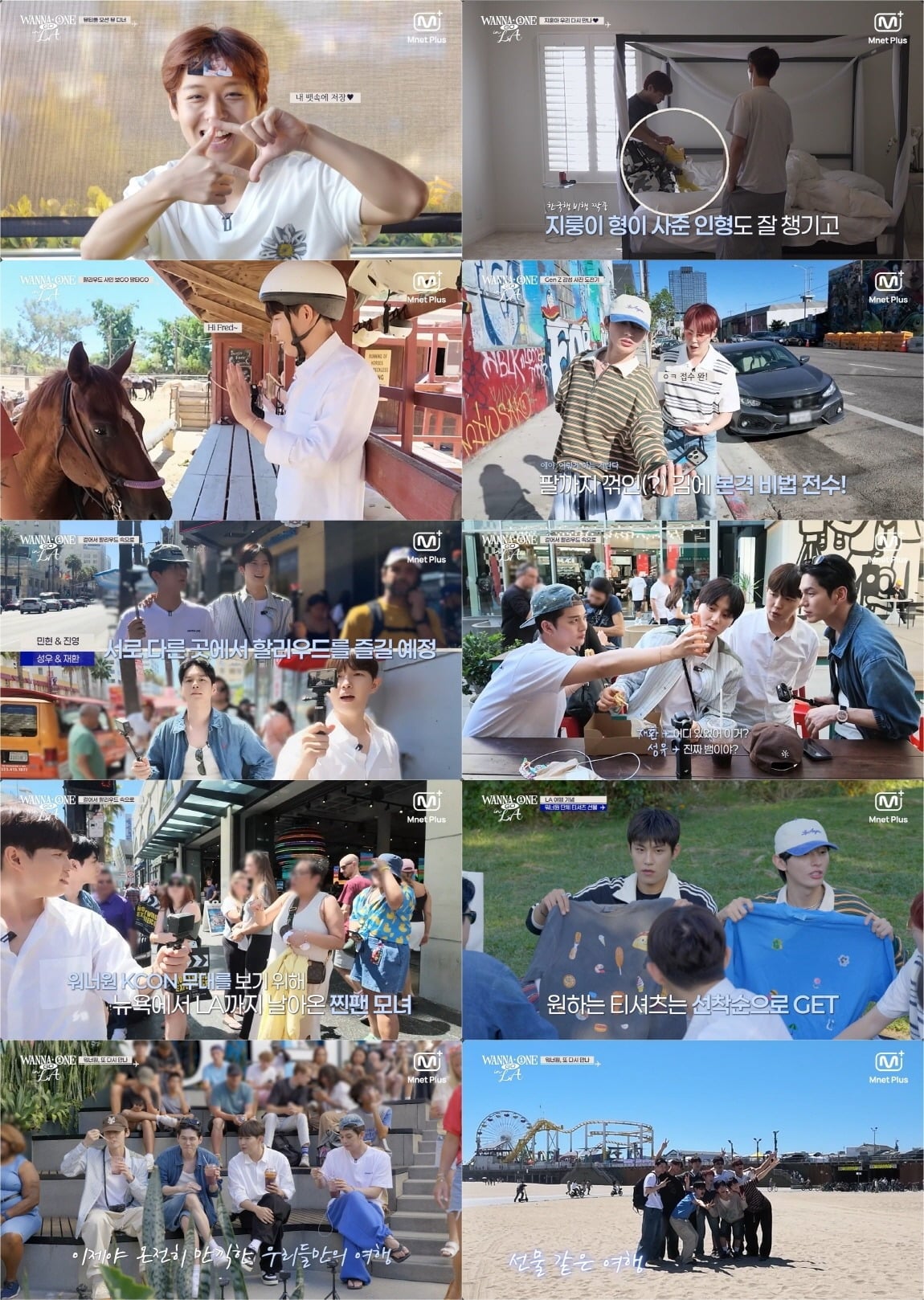 워너원이 약 9년 만에 선보인 리얼리티를 마무리했다./사진제공=CJ ENM