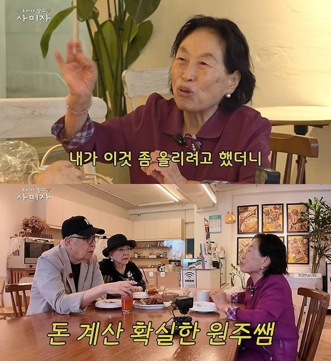 전원주가 유튜브 중단 이유를 밝혔다./사진='오미자 말고 사미자'