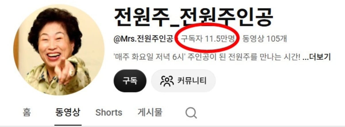 배우 전원주의 유튜브 채널 구독자 수가 11만 5000명을 기록하고 있다. / 사진=전원주 유튜브 채널