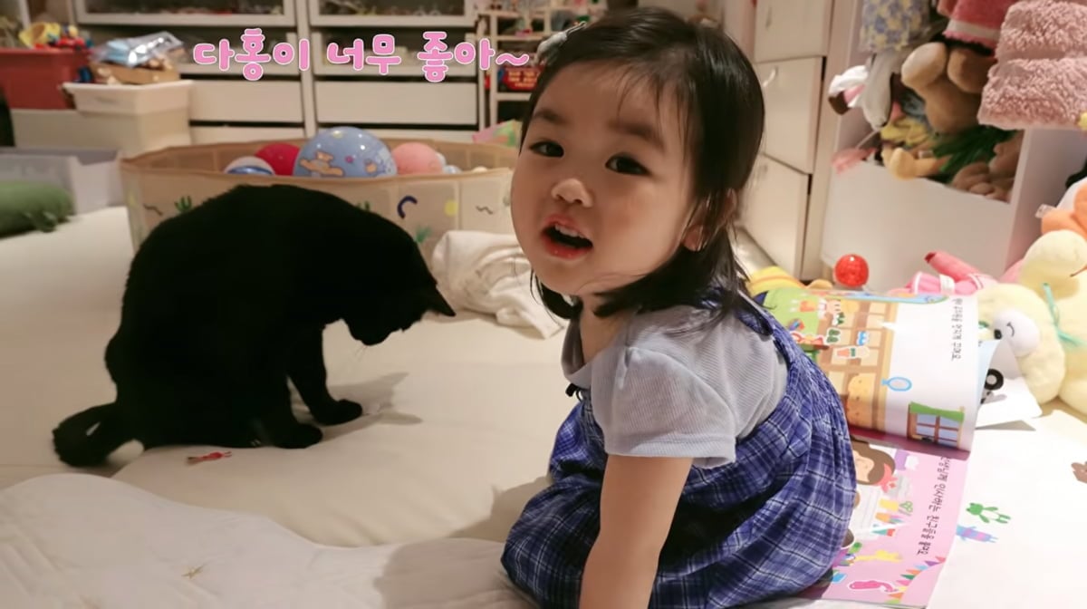 사진=박수홍 유튜브