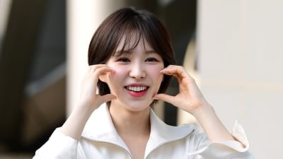웬디·프로미스나인 측, 사생활 침해에 경고…"회사 주변 배회도 법적 조치"