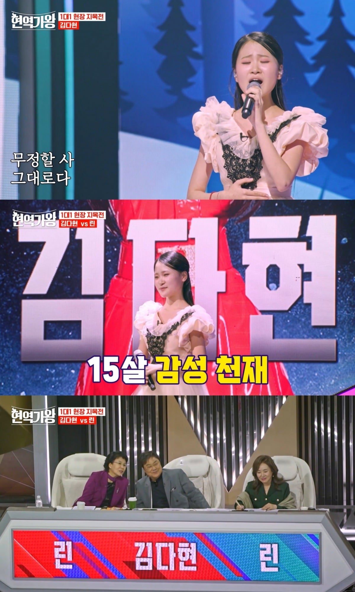 '현역가왕'에서 김다현을 심사 했던 심수봉./사진제공=MBN