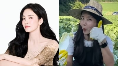 송혜교 '김치 대명사' 홍진경 회사 이용 안 한다…1년도 안 된 '절친' 선택