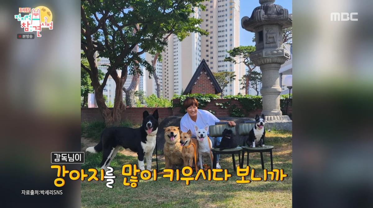 사진=MBC '전지적 참견 시점'