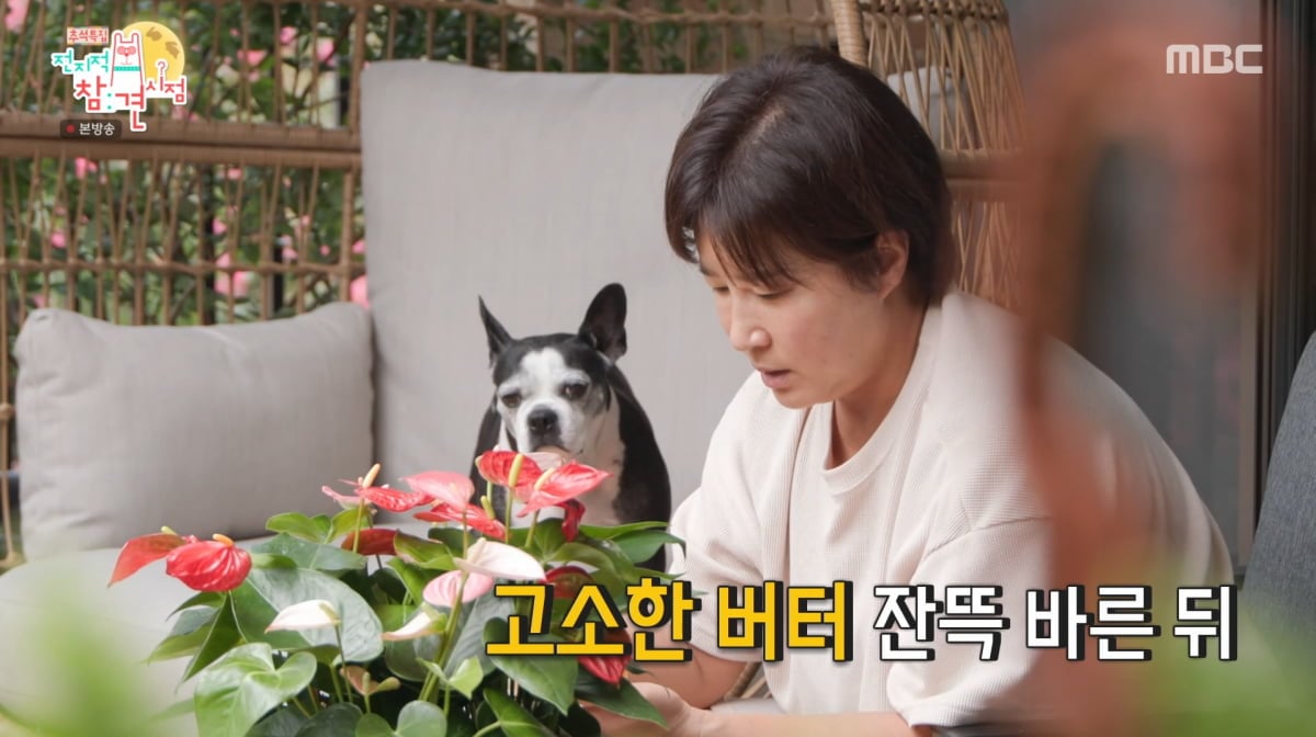 사진=MBC '전지적 참견 시점'