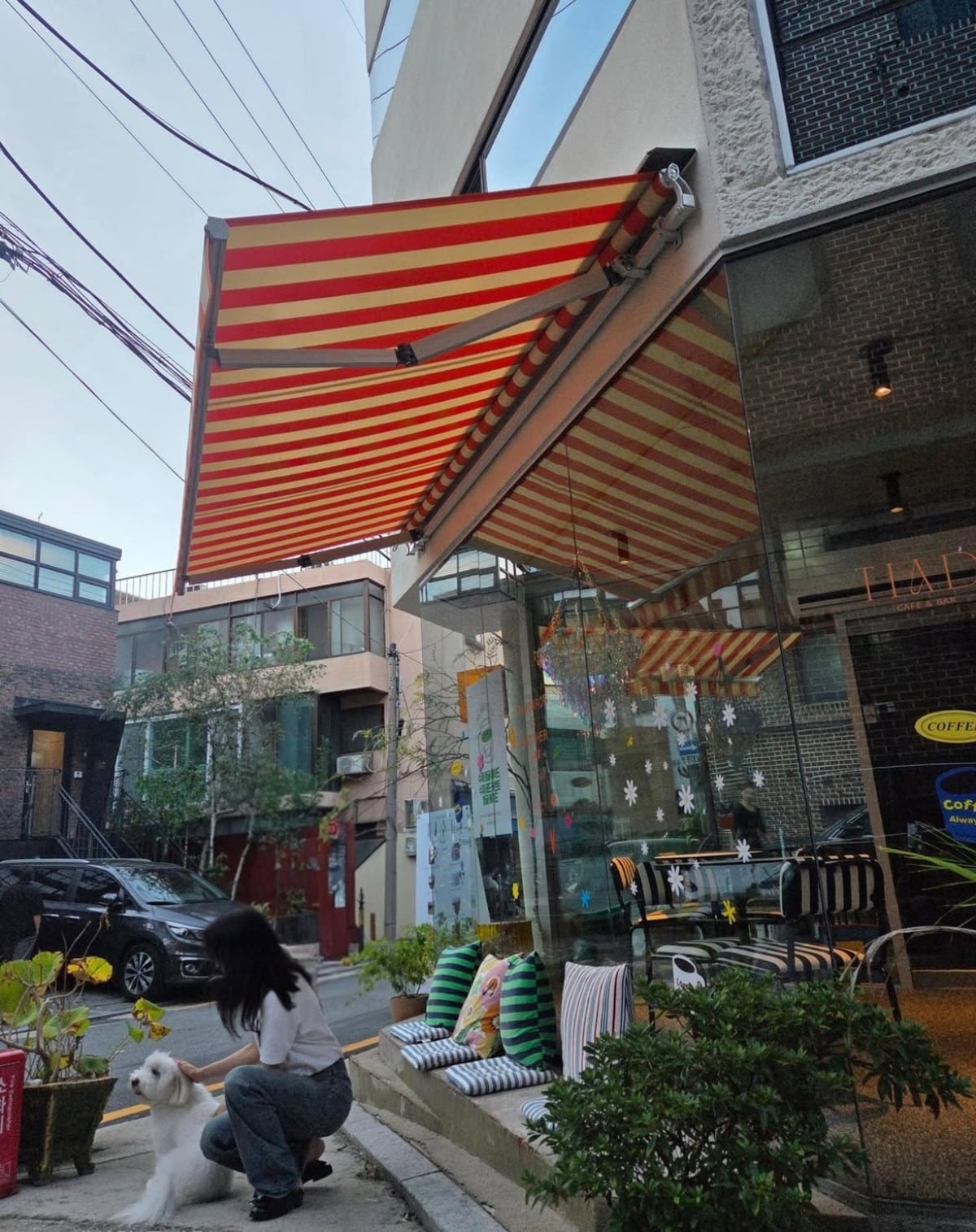 사진 = 채시라 인스타그램
