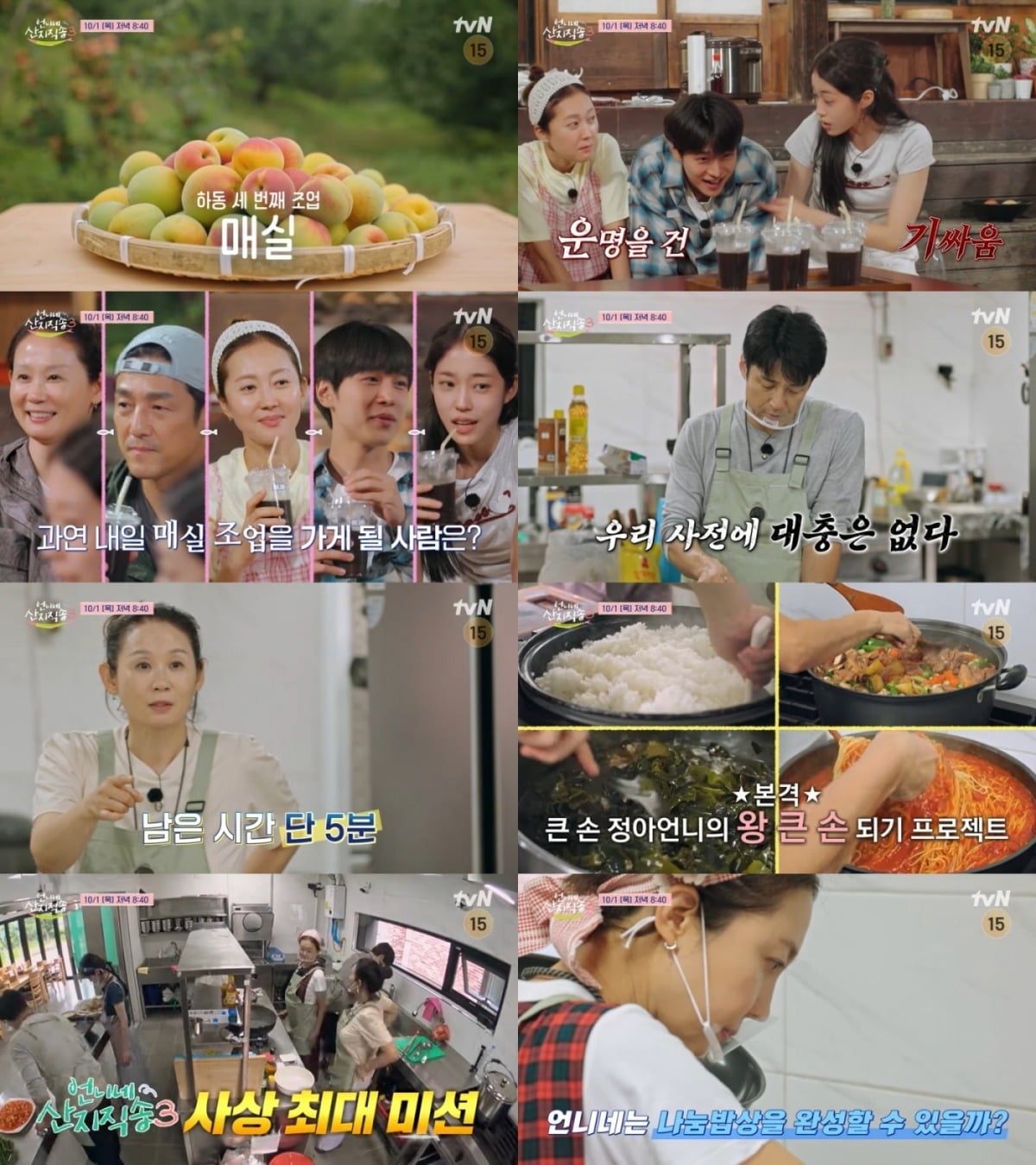 '언니네 산지직송3' 사 남매와 지진희가 40인분 나눔 밥상에 도전한다./사진제공=tvN