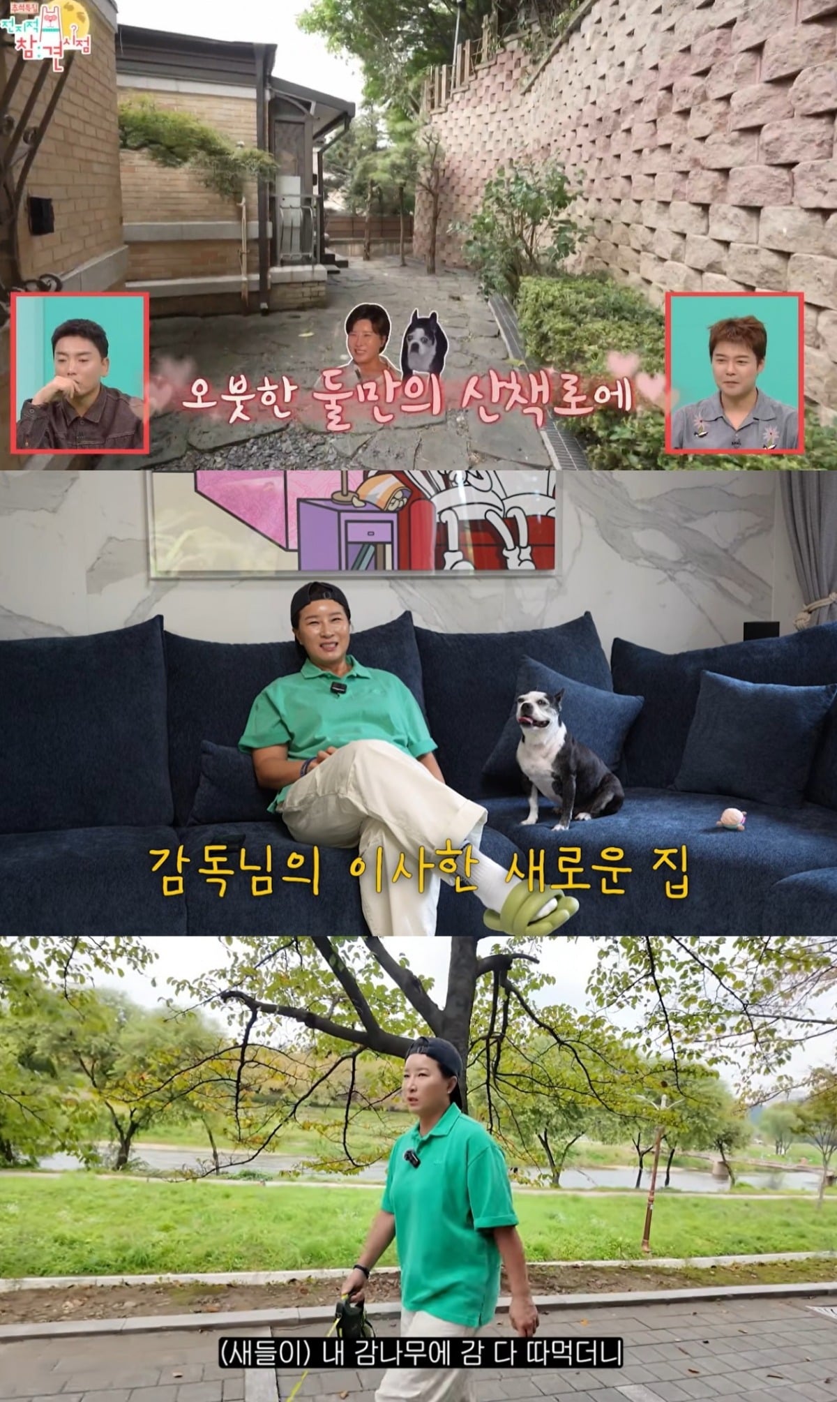 사진 = MBC '전지적 참견 시점' / 유튜브 채널 '박세리의 속사정'