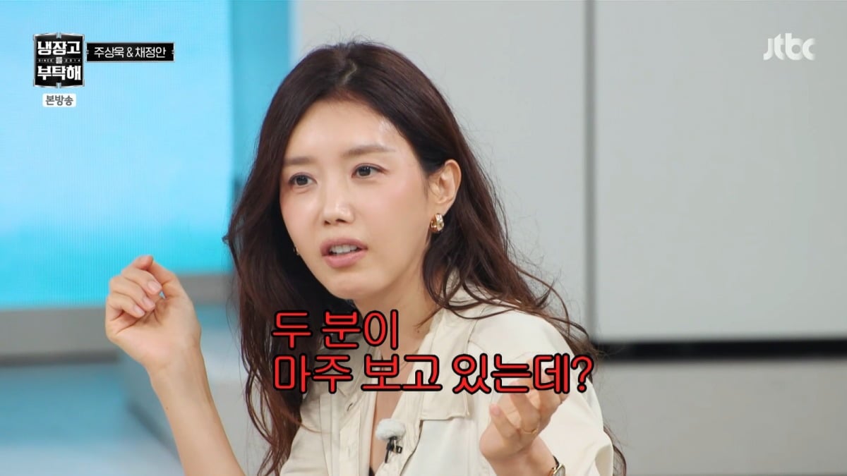 채정안이 '냉장고를 부탁해'에 출연했다. / 사진=JTBC '냉장고를 부탁해' 영상 캡처
