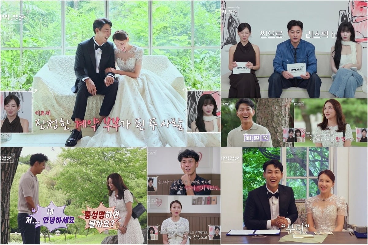 '계약결혼'에 두 번째 계약부부가 등장했다. / 사진제공=KBS Joy·MBC에브리원 '계약결혼'