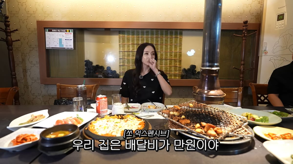 사진=한채영 유튜브