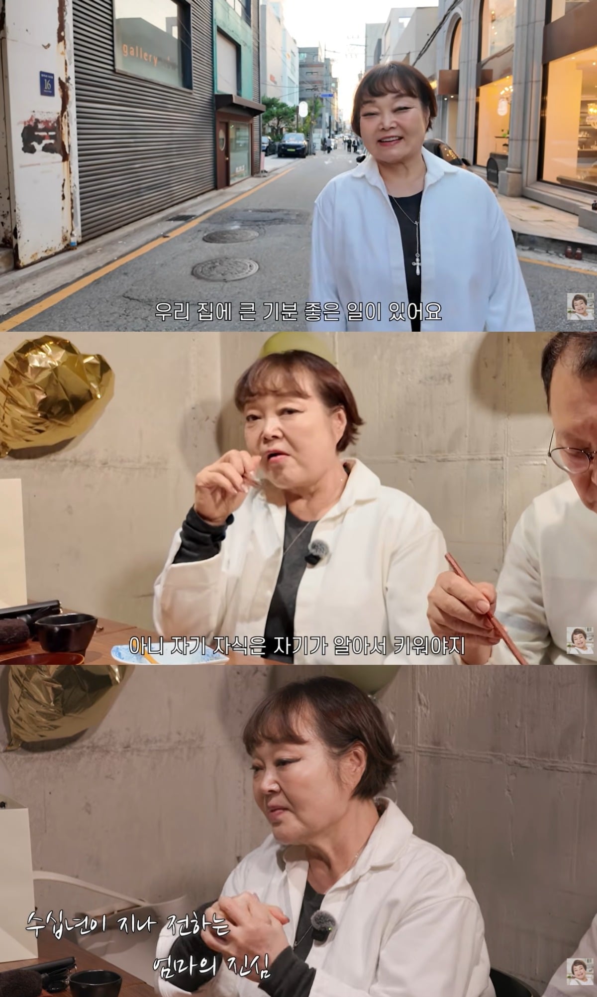 이혜정이 황혼 육아에 대해서는 선을 그었다. / 사진=유튜브 채널 '빅마마 이혜정' 영상 캡처