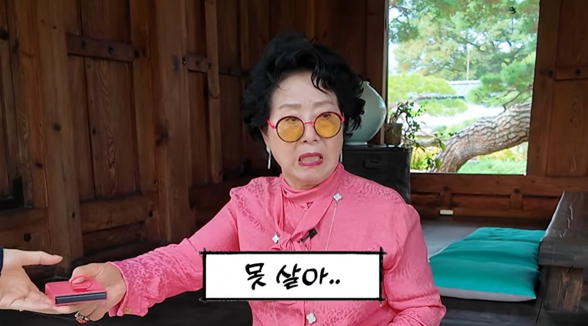 사진 = 유튜브 채널 '순풍 선우용여' 