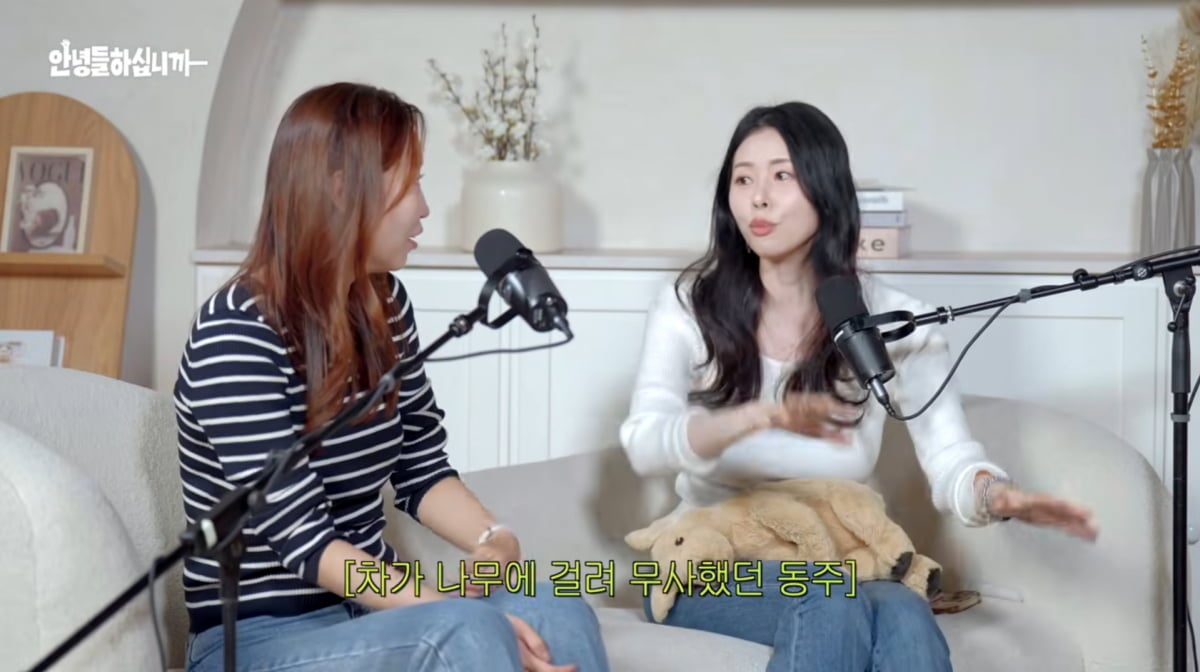 사진=유튜브 채널 'STUDIO OMG'