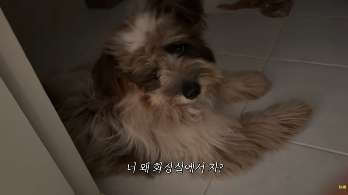 사진=김나영 유튜브