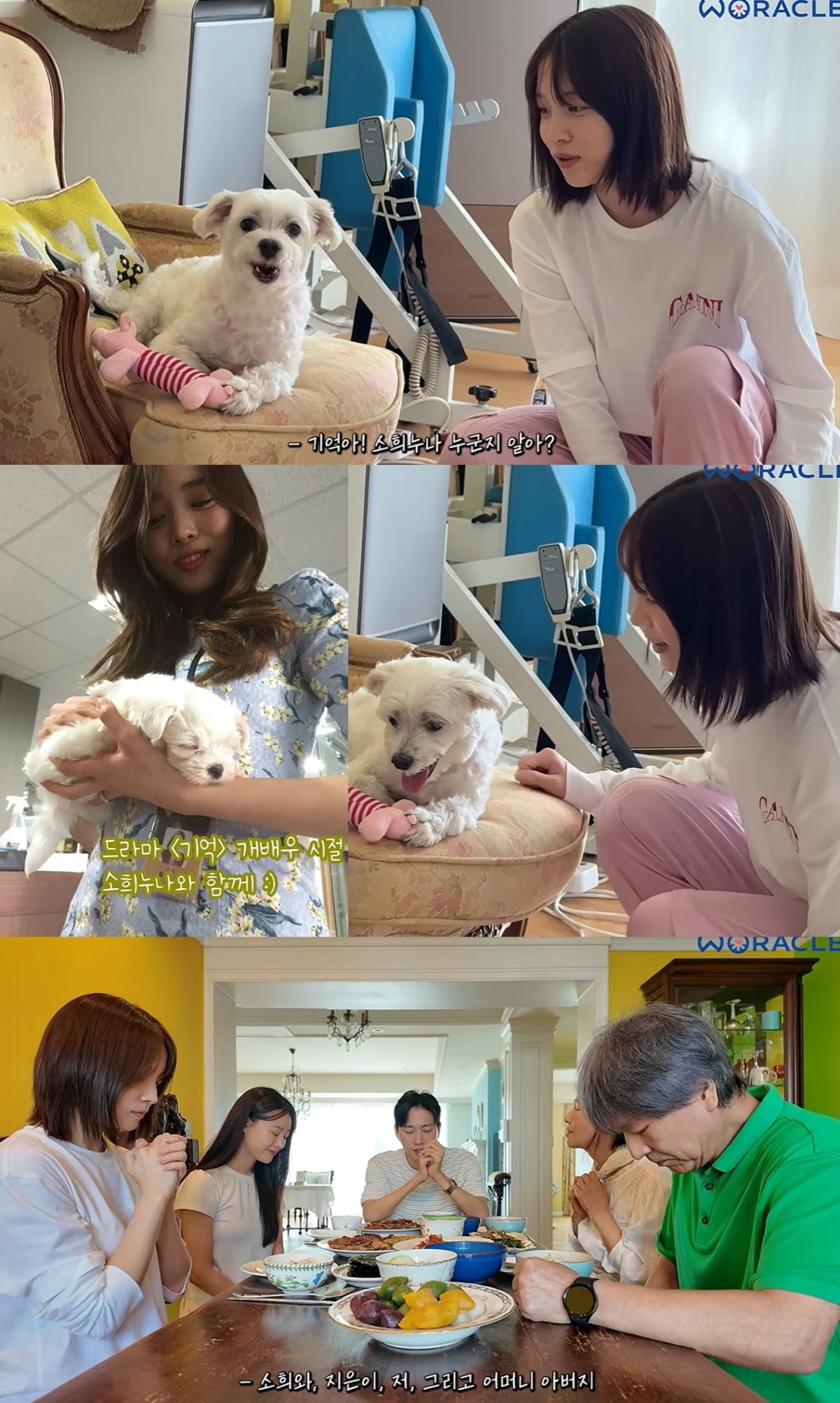 송지은 차별 논란에 박위 반려견 이름까지 소환됐다./사진='위라클'