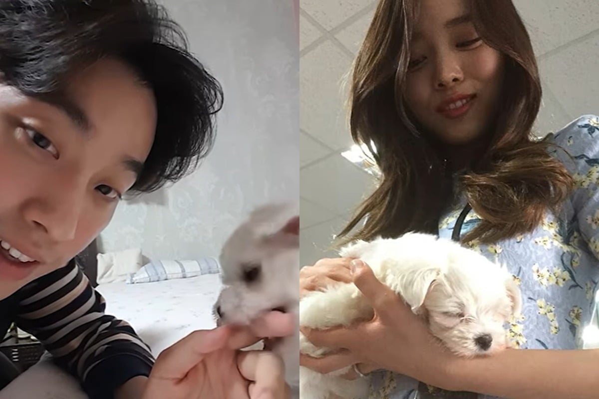 송지은 차별 논란에 박위 반려견 이름까지 소환됐다./사진='위라클'