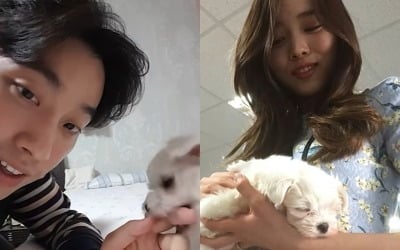"기괴하다" 박위 반려견 이름도 '수양딸' 윤소희와 인연…송지은 차별 논란 '시끌'