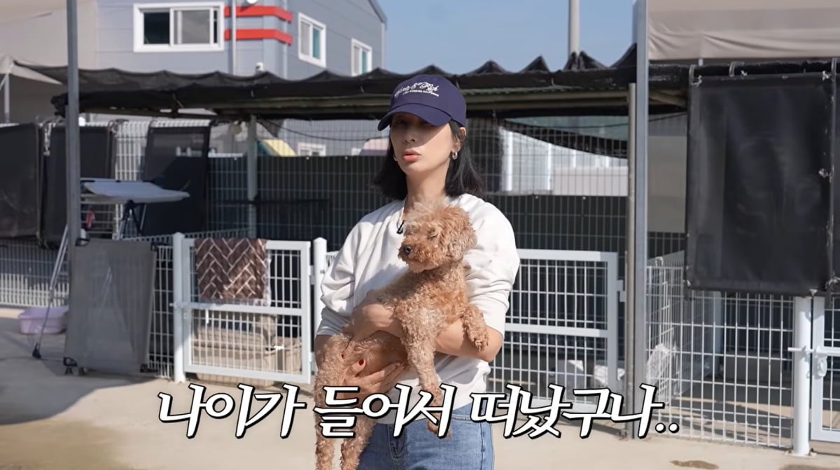 사진=고소영 유튜브