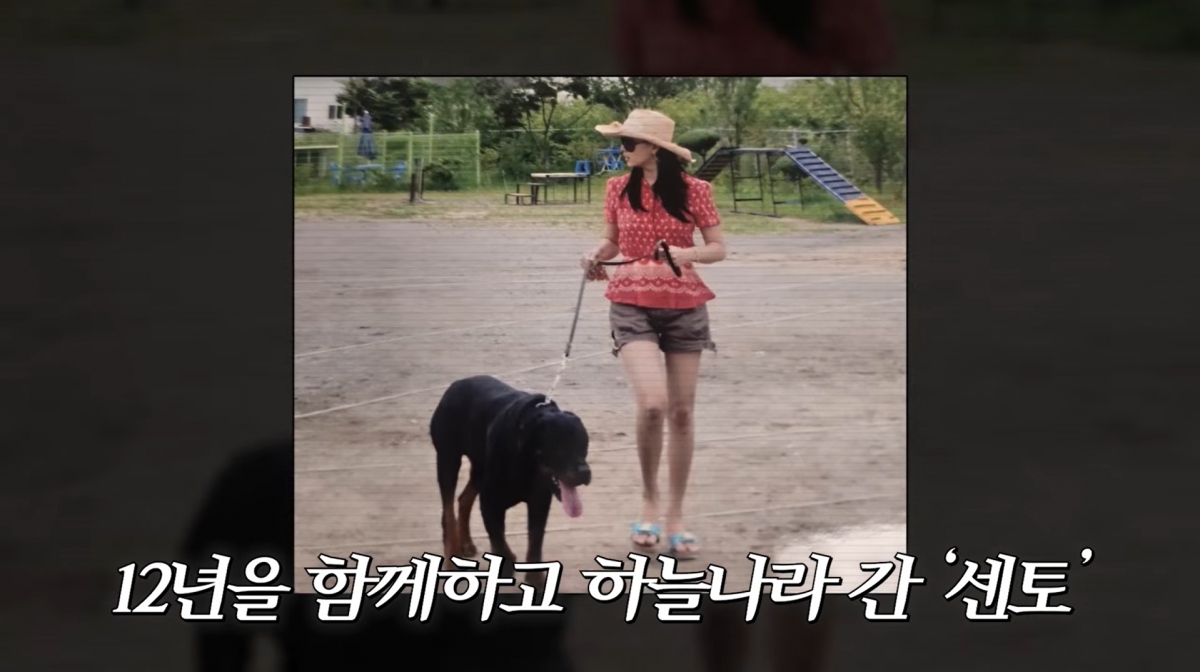사진=고소영 유튜브