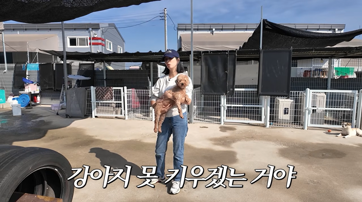사진=고소영 유튜브