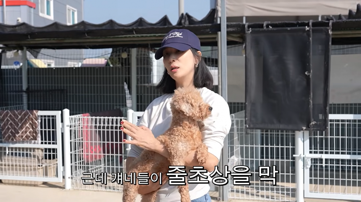 사진=고소영 유튜브