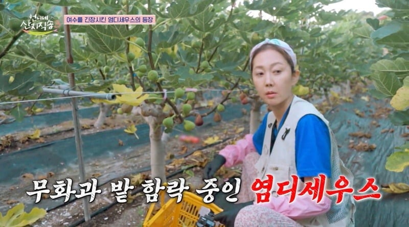 배우 노윤서가 미대 출신다운 그림 실력을 발휘했다. / 사진=tvN 방송 화면 캡처