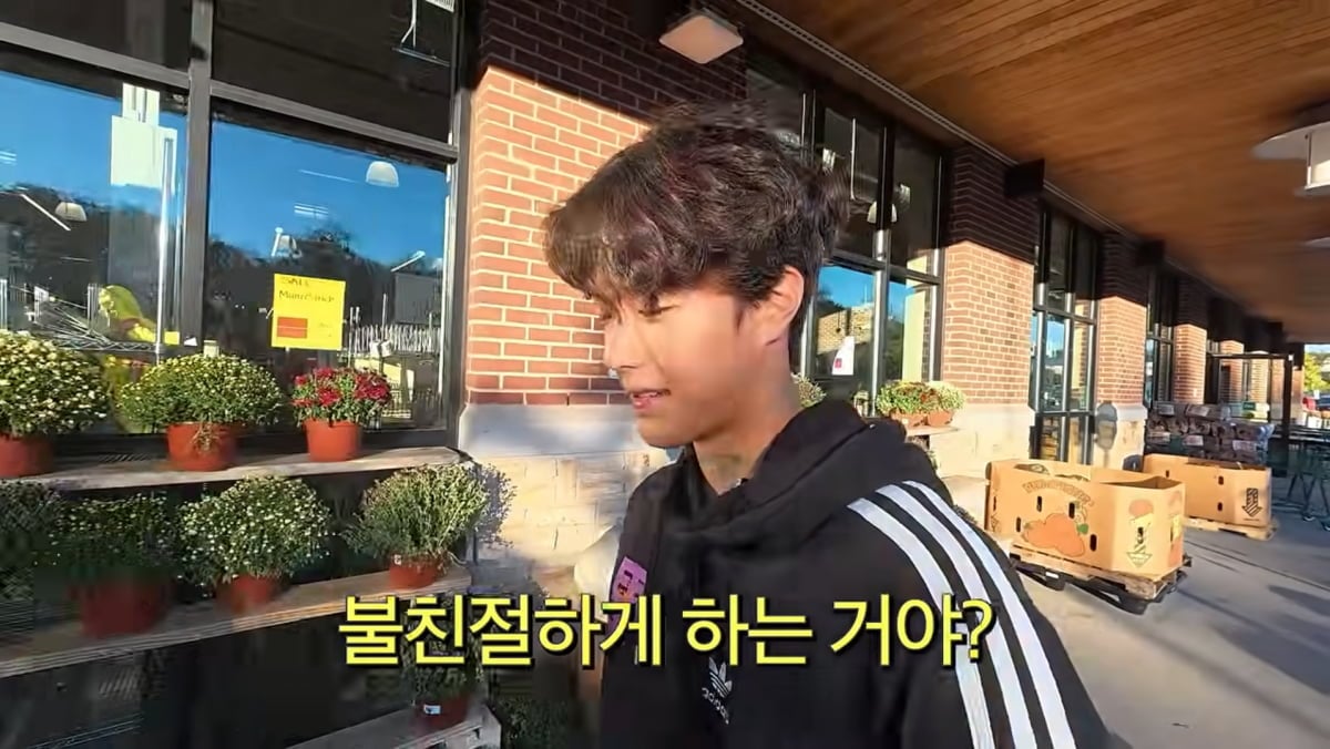 사진=손태영 유튜브