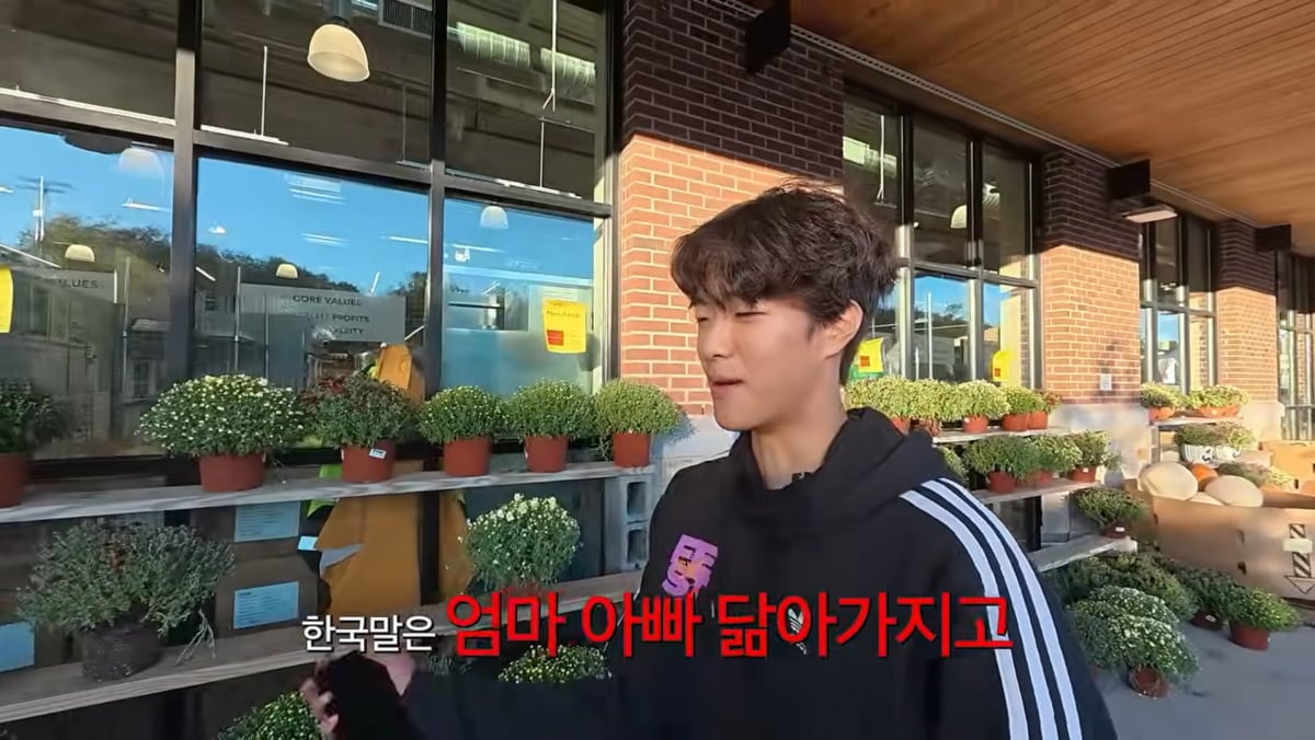 사진=손태영 유튜브