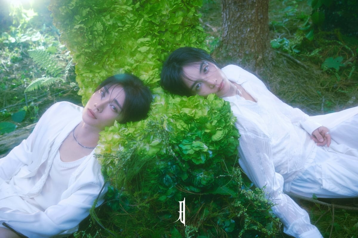 SEVENTEEN Jeonghan X Joshua 'DREAMSCAPE' / PLEDIS Entertainment 