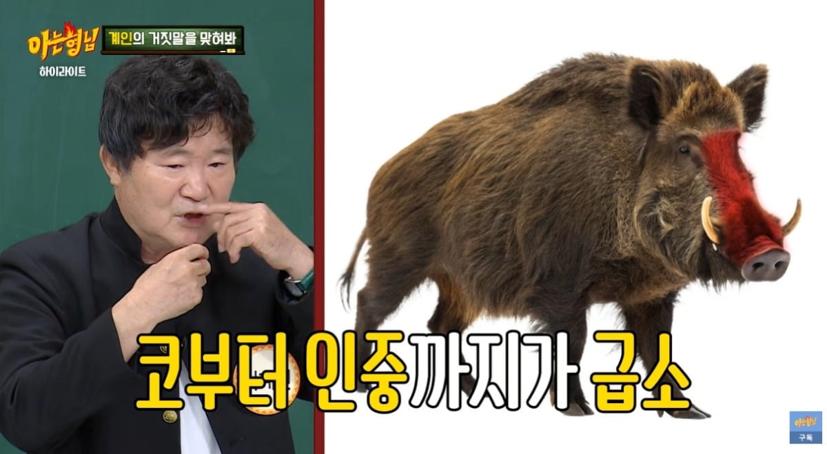 이계인이 '아는형님'에 출연해 과거 멧돼지를 제압한 일화를 공개했다. / 사진=유튜브 채널 '아는형님 Knowingbros' 영상 캡처
