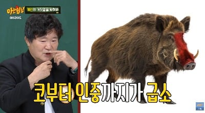 이계인, 맨손으로 멧돼지 잡았다…"팔 물렁뼈 다 들어가" ('아형')