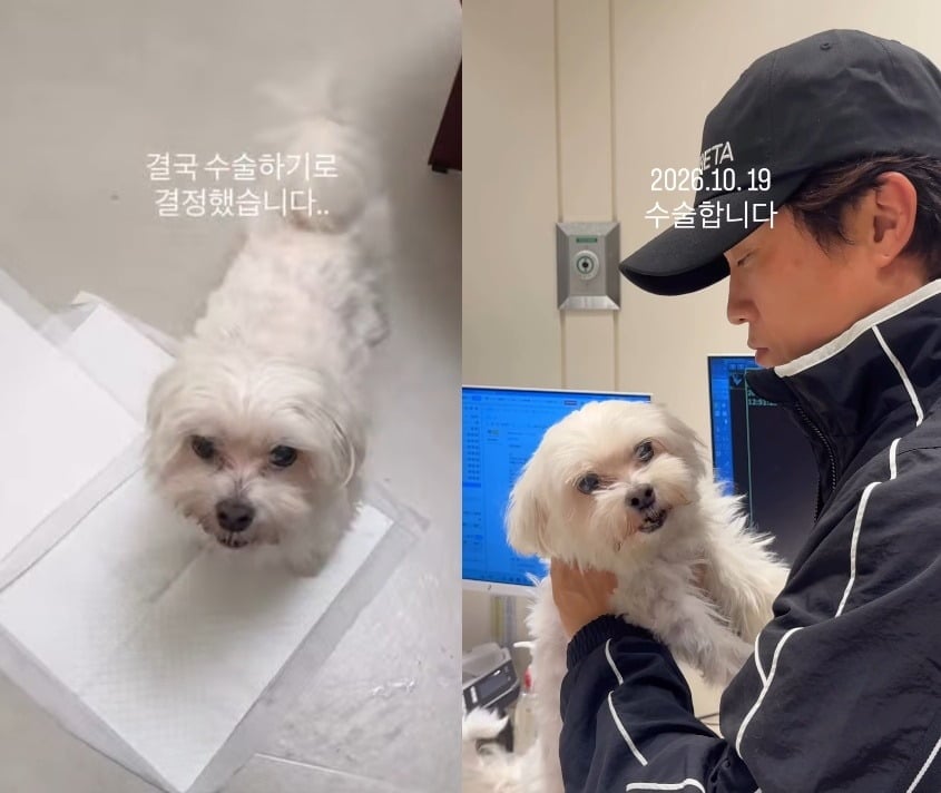박성광이 반려견 수술을 알렸다./사진=SNS