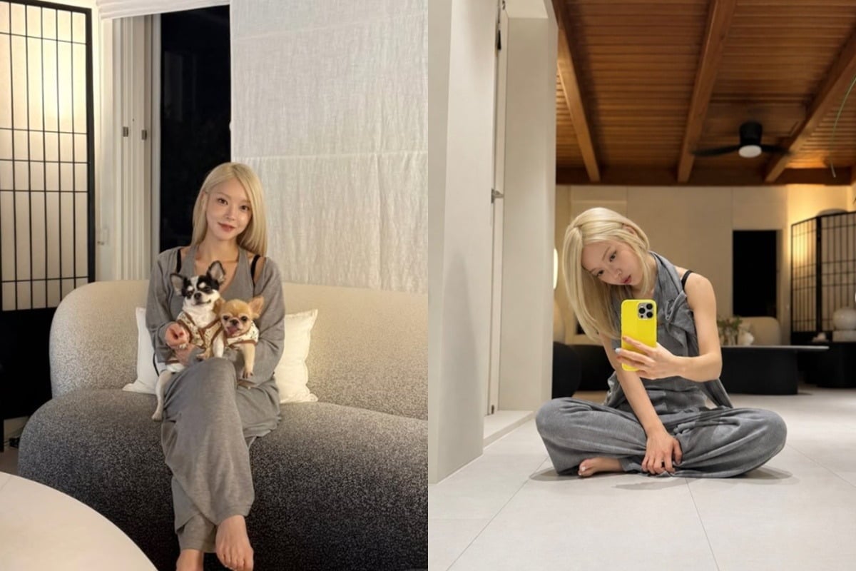 그룹 AOA 출신 초아가 이사한 새집을 공개했다. /사진=SNS