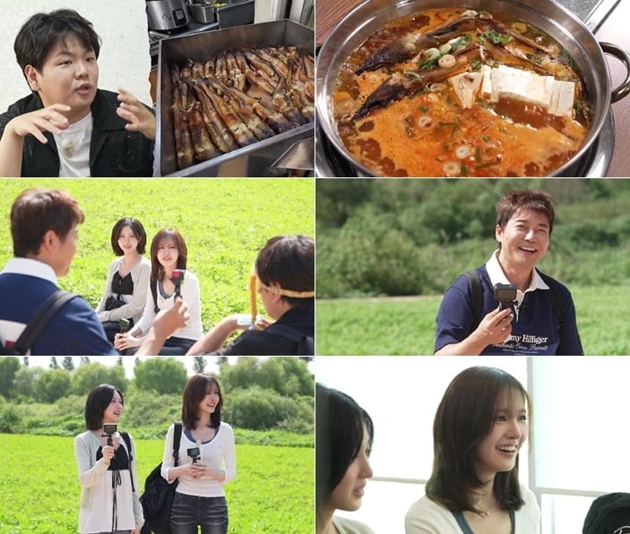 아이브 가을, 리즈가 '전현무계획4'에 출연한다. / 사진제공=MBN·채널S