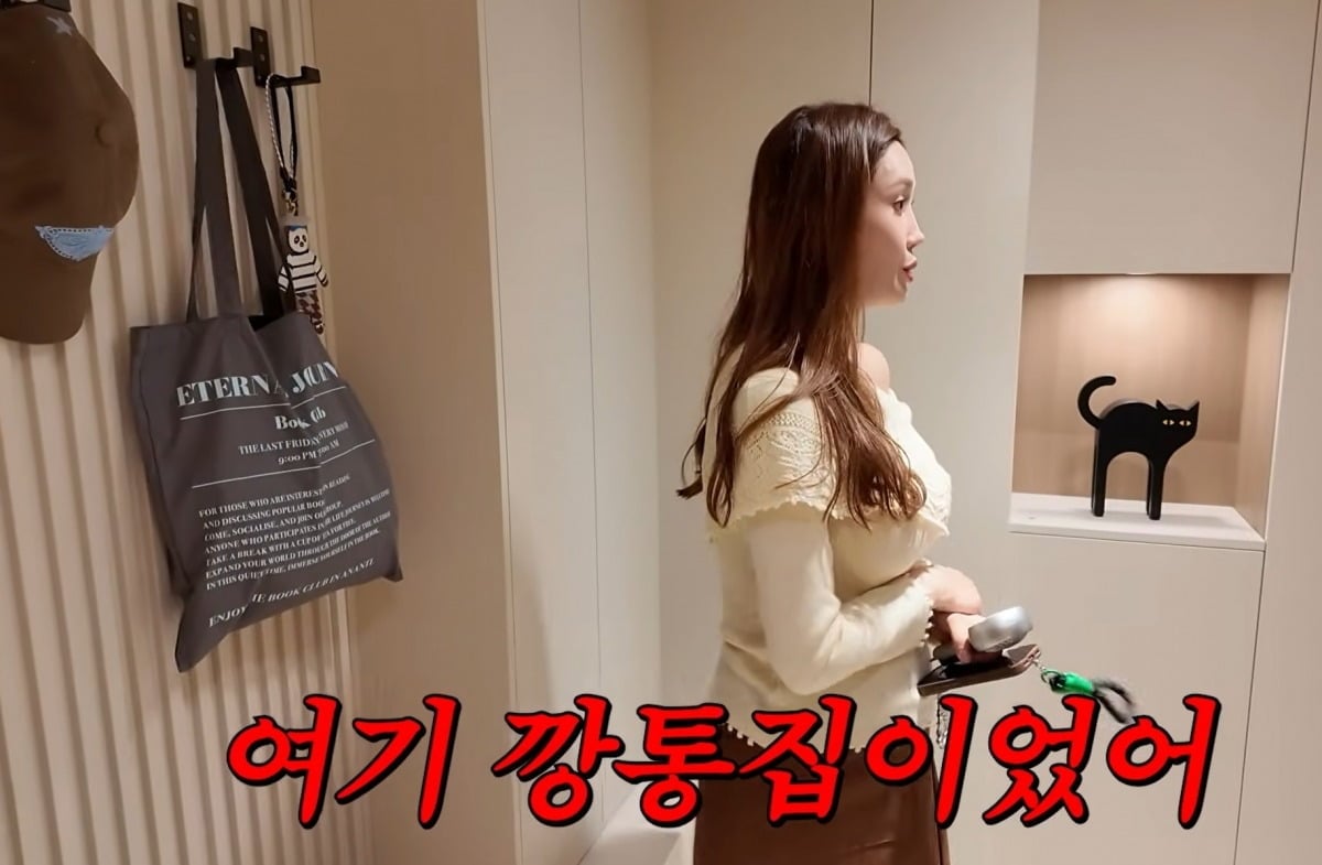 사진 = 유튜브 채널  'A급 장영란' 
