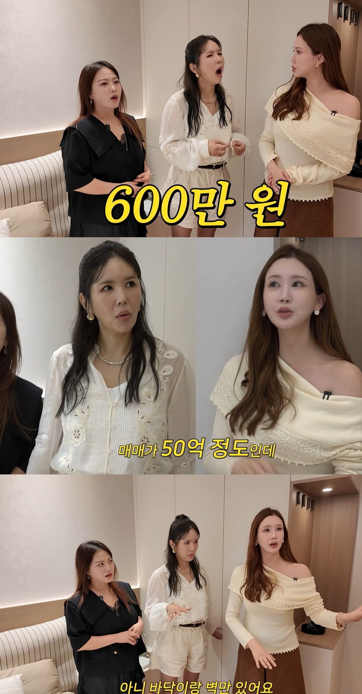 사진 = 유튜브 채널  'A급 장영란' 